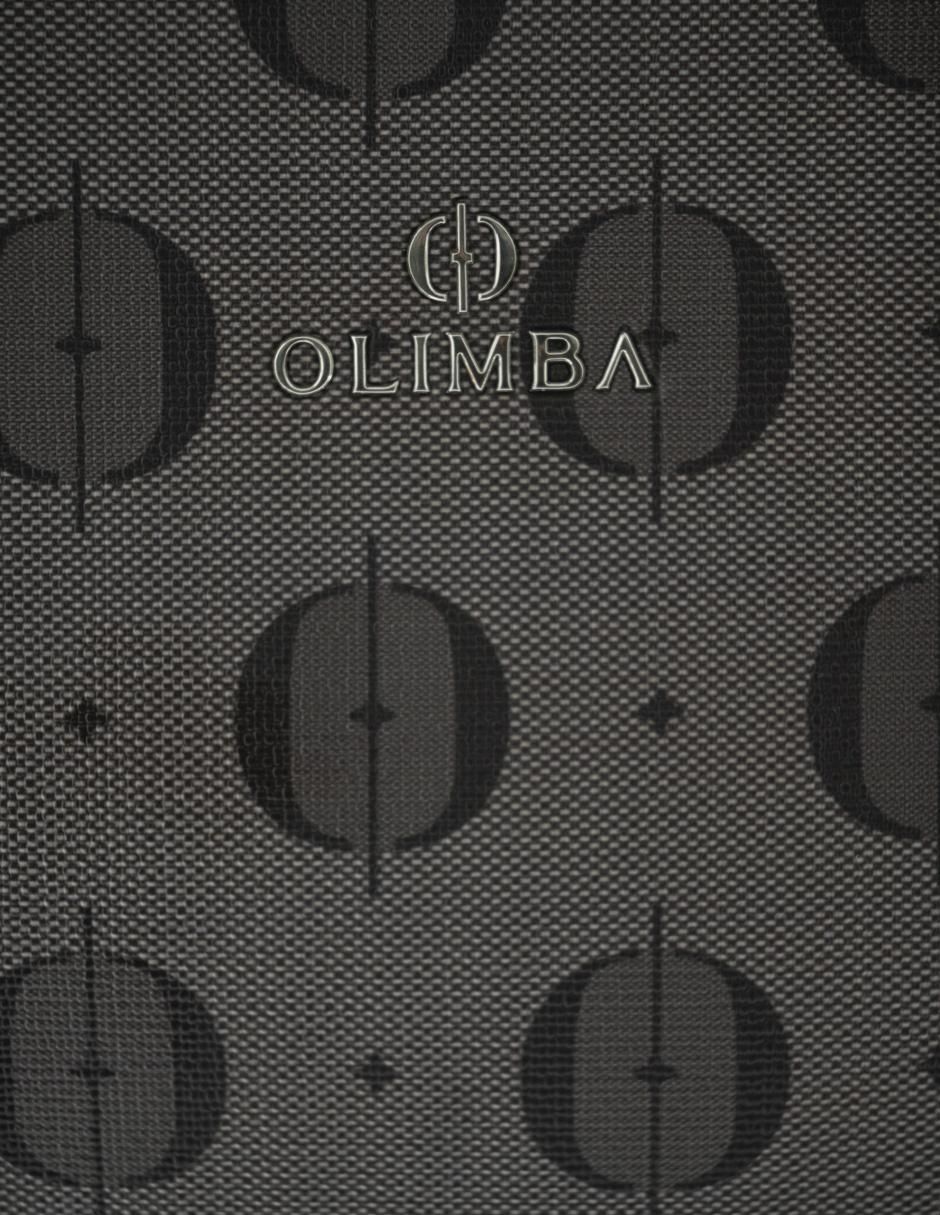 Bolsa satchel para mujer 4